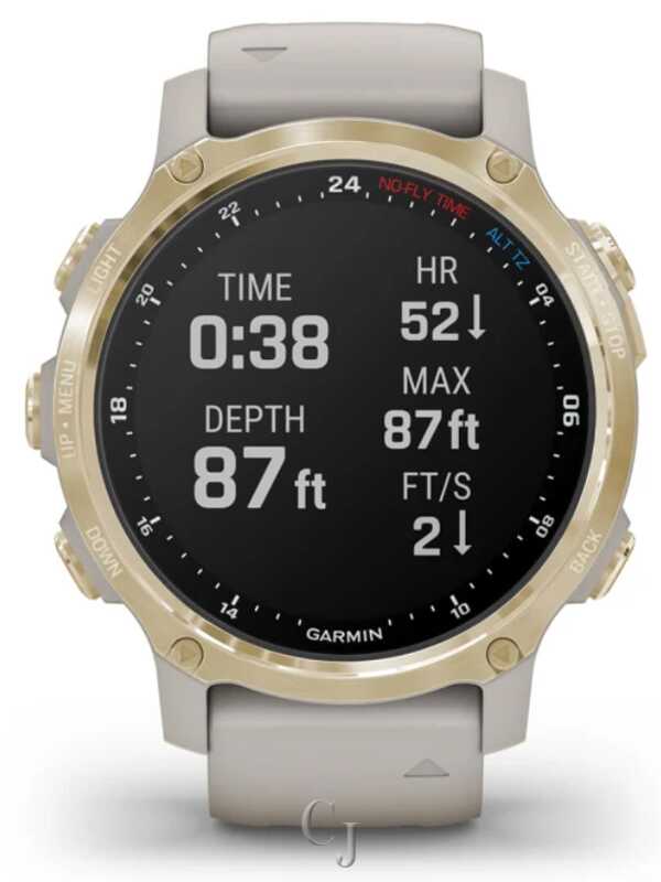 GARMIN DESCENT MK2S LIGHT GOLD W/ LIGHT SAND SILICONE BAND 010-02403-00