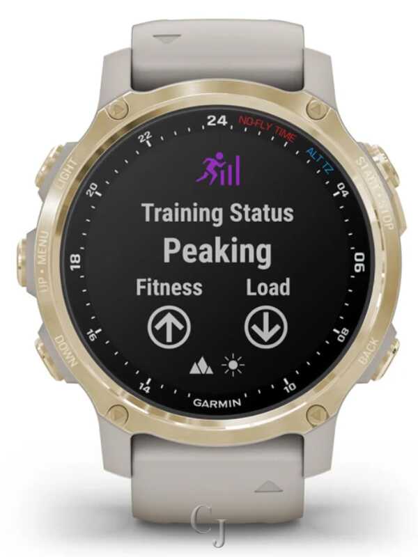 GARMIN DESCENT MK2S LIGHT GOLD W/ LIGHT SAND SILICONE BAND 010-02403-00 - Image 2