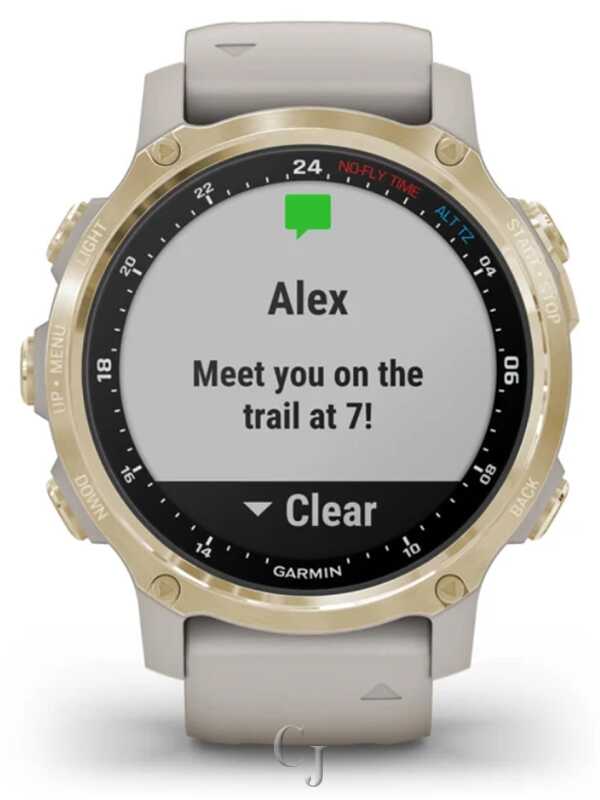 GARMIN DESCENT MK2S LIGHT GOLD W/ LIGHT SAND SILICONE BAND 010-02403-00 - Image 6