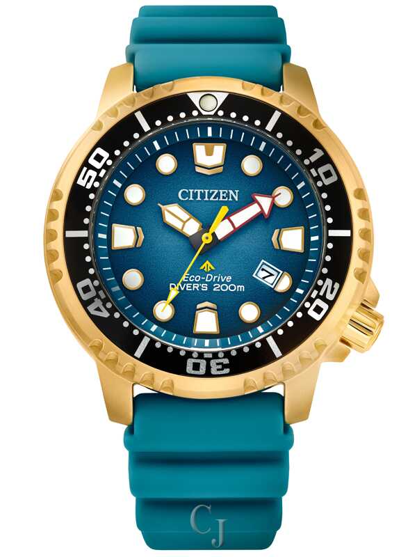 Citizen Promaster Dive Blue Dial Eco-Drive Men’s Watch BN0162-02X